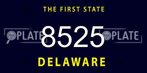 8525 Delaware License Plate
