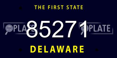 85271 Delaware License Plate
