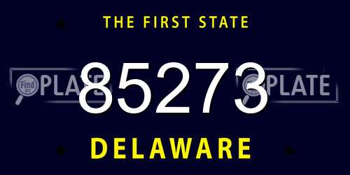 85273 Delaware License Plate