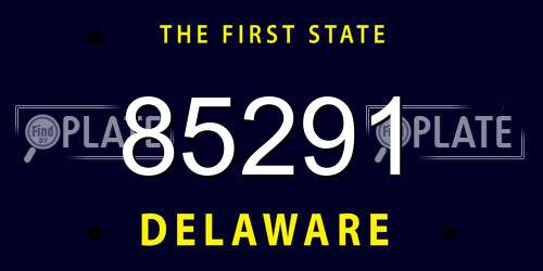 85291 Delaware License Plate