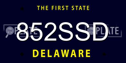 852SSD Delaware License Plate
