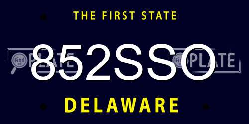 852SSO Delaware License Plate