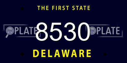 8530 Delaware License Plate