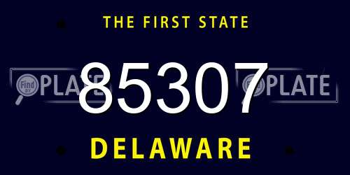 85307 Delaware License Plate