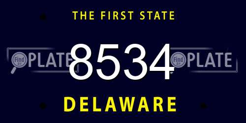 8534 Delaware License Plate