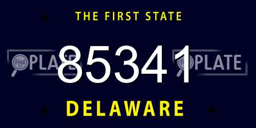 85341 Delaware License Plate