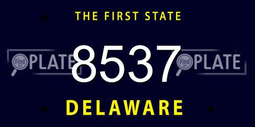 8537 Delaware License Plate
