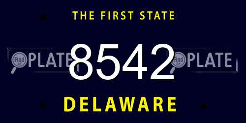 8542 Delaware License Plate