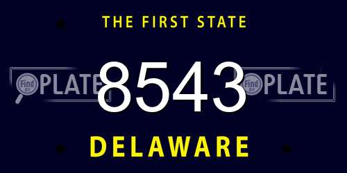 8543 Delaware License Plate
