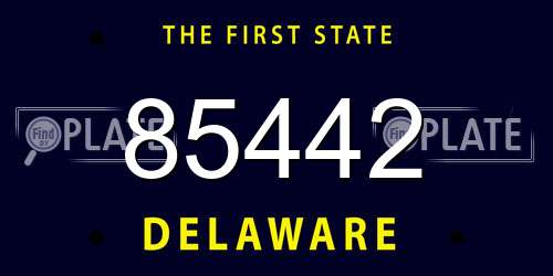 85442 Delaware License Plate