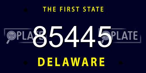 85445 Delaware License Plate