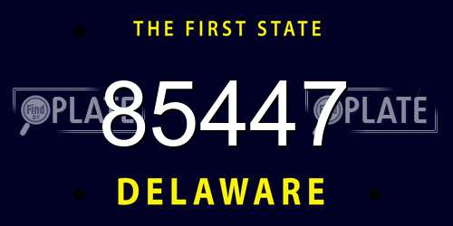 85447 Delaware License Plate