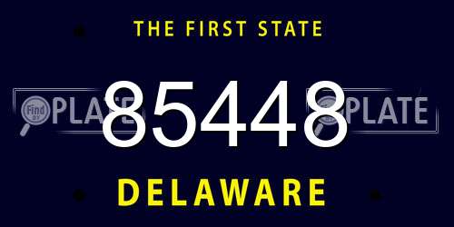 85448 Delaware License Plate