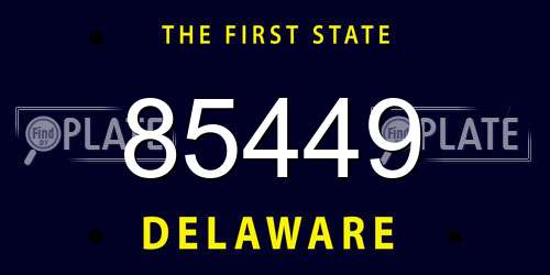 85449 Delaware License Plate