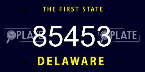 85453 Delaware License Plate