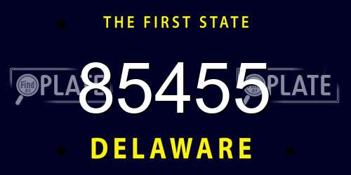 85455 Delaware License Plate