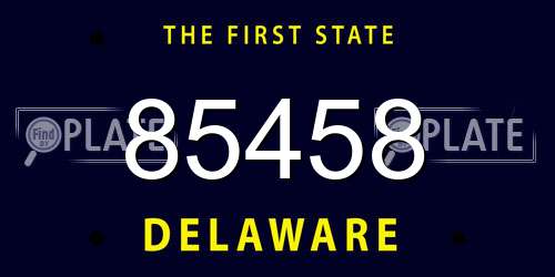 85458 Delaware License Plate