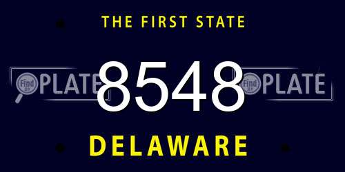 8548 Delaware License Plate