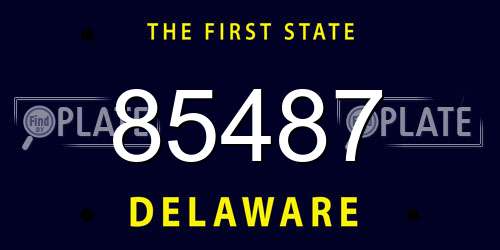 85487 Delaware License Plate