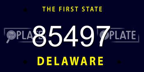 85497 Delaware License Plate