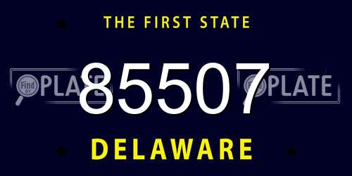 85507 Delaware License Plate