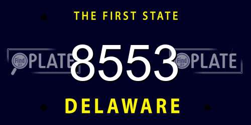 8553 Delaware License Plate