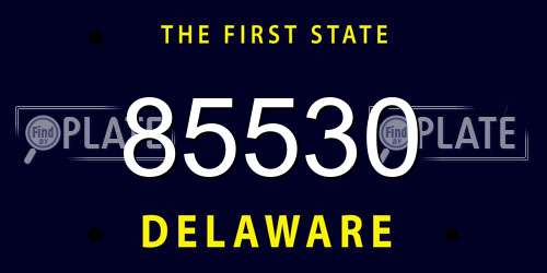 85530 Delaware License Plate