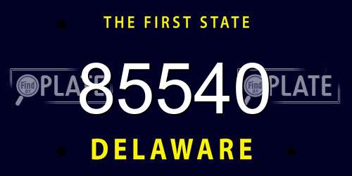 85540 Delaware License Plate