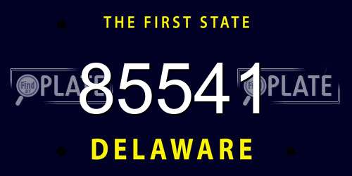 85541 Delaware License Plate
