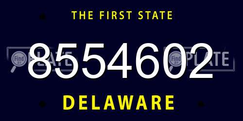 8554602 Delaware License Plate