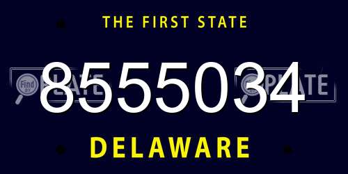 8555034 Delaware License Plate