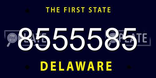 8555585 Delaware License Plate
