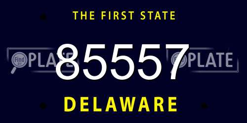 85557 Delaware License Plate
