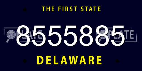 8555885 Delaware License Plate