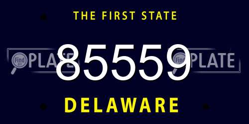 85559 Delaware License Plate