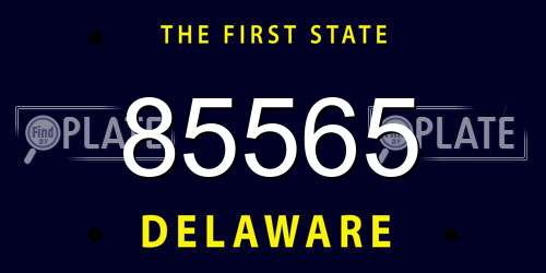 85565 Delaware License Plate