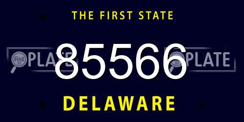 85566 Delaware License Plate