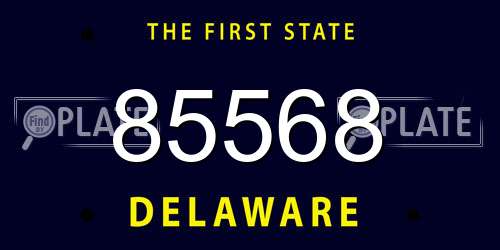 85568 Delaware License Plate