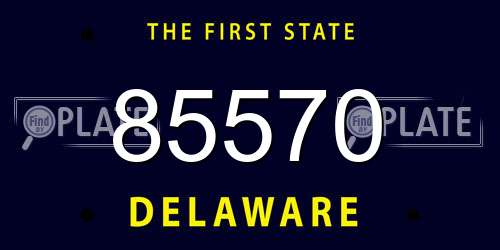 85570 Delaware License Plate