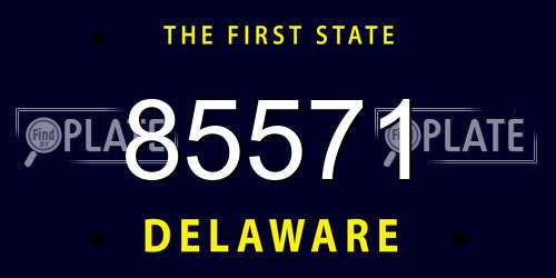 85571 Delaware License Plate
