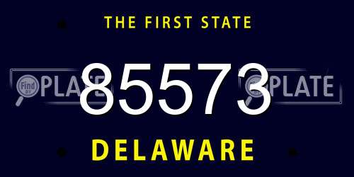 85573 Delaware License Plate