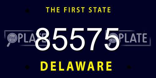 85575 Delaware License Plate