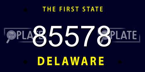85578 Delaware License Plate