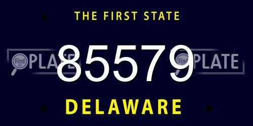 85579 Delaware License Plate