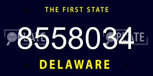 8558034 Delaware License Plate