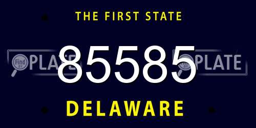 85585 Delaware License Plate
