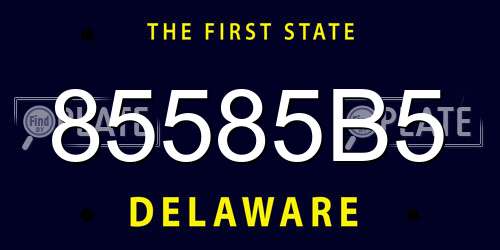 85585B5 Delaware License Plate