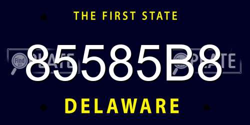 85585B8 Delaware License Plate
