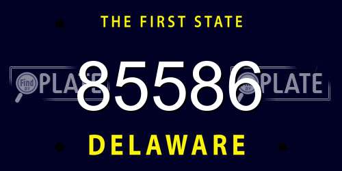 85586 Delaware License Plate