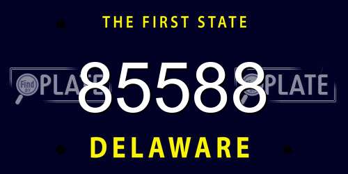 85588 Delaware License Plate